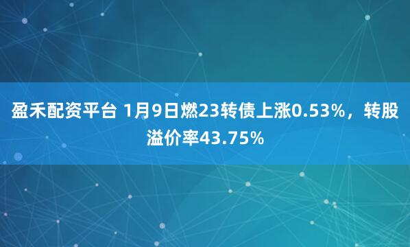 盈禾配资平台 1月9日燃23转债上涨0.53%，转股溢价率43.75%