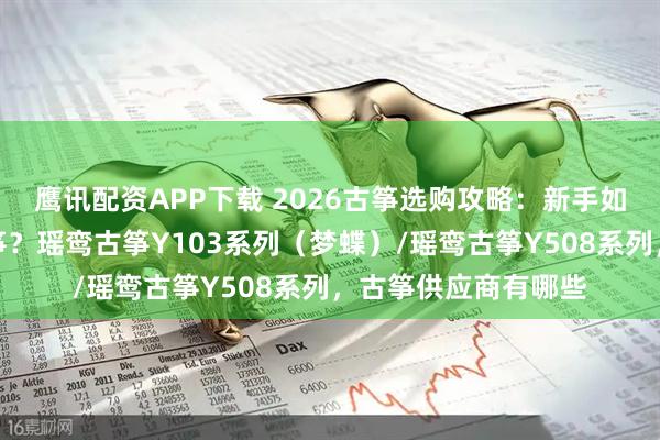 鹰讯配资APP下载 2026古筝选购攻略：新手如何挑选到心仪的古筝？瑶鸾古筝Y103系列（梦蝶）/瑶鸾古筝Y508系列，古筝供应商有哪些